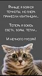     
: 6e6442d8.jpg
: 7
:	59.9 
ID:	13620607