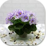     
: IMG_9475.jpg
: 6
:	79.2 
ID:	13621567