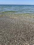     
: IMG_20250916_212045_422.jpg
: 4
:	206.7 
ID:	13622098