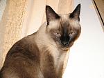     
: IMG_7791.jpg
: 26
:	174.3 
ID:	1364880
