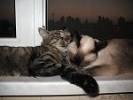     
: IMG_7794.jpg
: 28
:	148.0 
ID:	1364890