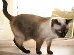     
: IMG_7789.jpg
: 27
:	116.6 
ID:	1364902