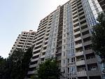     
: DSCN3506.JPG
: 66
:	79.3 
ID:	1385190