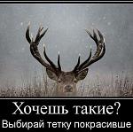     
: 397468.jpg
: 20
:	44.4 
ID:	1385715