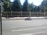     
: DSC02600.JPG
: 89
:	106.3 
ID:	1390079