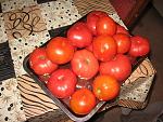     
: IMG_3303_ resize.jpg
: 42
:	224.5 
ID:	1392610