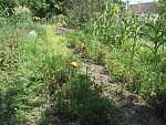     
: IMG_3221_resize.jpg
: 55
:	138.0 
ID:	1392612