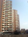     
: DSC01480.jpg
: 72
:	74.5 
ID:	1392920