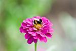     
: DSC_74hh38.jpg
: 81
:	62.0 
ID:	1401287