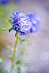     
: DSC_74gg27.jpg
: 52
:	44.5 
ID:	1401288