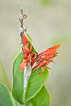     
: DSC_73gg97.jpg
: 52
:	41.3 
ID:	1401289