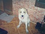     
: 15082010476.jpg
: 24
:	119.6 
ID:	1404014