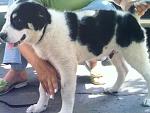     
: 15082010466.jpg
: 16
:	134.5 
ID:	1404084
