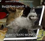     
: x_3bcd56d1.jpg
: 66
:	62.8 
ID:	1412545