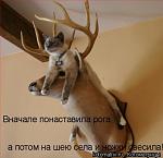     
: x_7aa3fa6b.jpg
: 54
:	32.3 
ID:	1412547