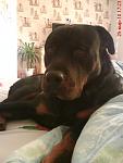     
: DSC00594.jpeg
: 33
:	35.6 
ID:	1417089