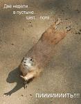     
: 1251827999_1250893428_14.jpg
: 19
:	140.3 
ID:	1420915