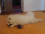     
: bona_6.jpg
: 23
:	99.4 
ID:	1428049