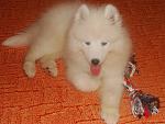     
: bona_12.jpg
: 23
:	157.2 
ID:	1428056