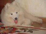     
: bona_14.jpg
: 21
:	82.0 
ID:	1428058