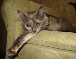     
: DSC00053.JPG
: 23
:	124.1 
ID:	1432237