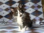     
: 080dc98cb5f4.jpg
: 188
:	56.8 
ID:	143603