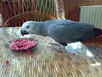     
: 18072010542.jpg
: 67
:	162.1 
ID:	1436445