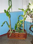     
: 45436cce03ff.jpg
: 36
:	74.4 
ID:	143723