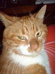     
: DSC00122.JPG
: 56
:	21.2 
ID:	145122
