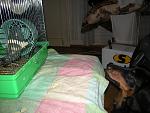     
: DSCN4780.jpg
: 28
:	147.2 
ID:	1457034