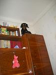     
: DSCN4811.jpg
: 34
:	62.7 
ID:	1457042
