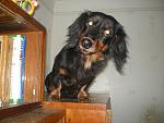    
: DSCN4814.jpg
: 30
:	126.4 
ID:	1457046