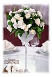     
: IMG_4527.jpg
: 505
:	81.7 
ID:	1457355