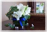     
: IMG_4556.jpg
: 301
:	88.7 
ID:	1461319