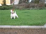     
: 6d310c0cb699.jpg
: 243
:	83.0 
ID:	1461644