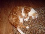     
: DSC00125.jpg
: 50
:	97.6 
ID:	146402