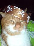     
: DSC00608.jpg
: 37
:	46.2 
ID:	146824