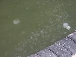     
: IMG_1266.jpg
: 93
:	117.7 
ID:	1469878