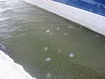    
: IMG_1298.jpg
: 80
:	111.4 
ID:	1469889