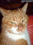     
: DSC00122.jpg
: 10
:	56.4 
ID:	147109