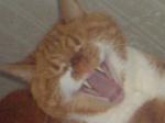     
: DSC00222.jpg
: 12
:	88.7 
ID:	147120