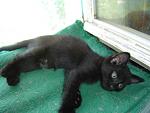     
: DSC00172.JPG
: 44
:	138.7 
ID:	147284