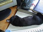     
: DSC00187.JPG
: 31
:	145.3 
ID:	147288