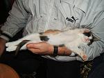     
: DSCF2829.jpg
: 37
:	105.0 
ID:	1474610