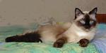     
: Asya.jpg
: 38
:	39.6 
ID:	147633