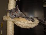     
: DSC03626.jpg
: 58
:	37.6 
ID:	1479341