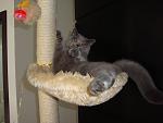     
: DSC03624.jpg
: 44
:	37.5 
ID:	1479346