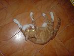     
: DSC00714.jpg
: 24
:	69.9 
ID:	148003