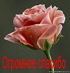     
: 995197921.jpg
: 40
:	24.2 
ID:	1481469