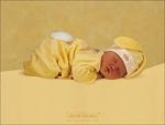     
: 596e3e46a706.jpg
: 11
:	31.7 
ID:	1491932